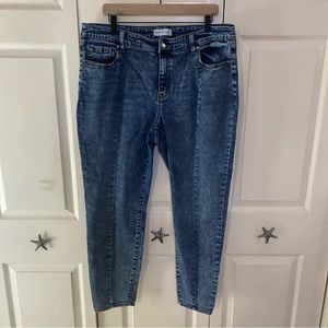Lane Bryant Jeans 18R